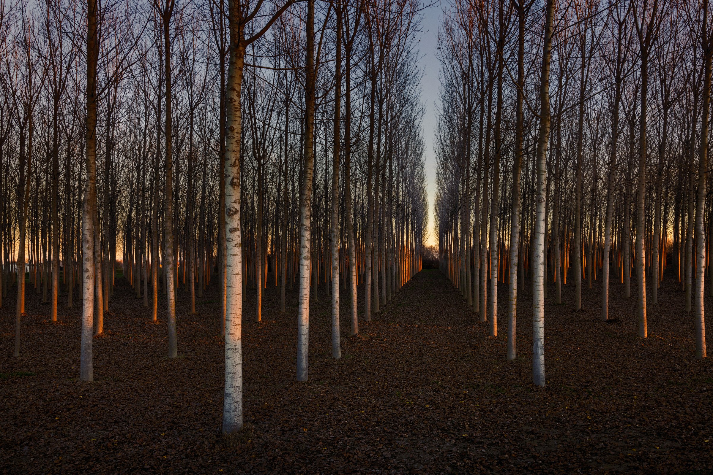 photograph by Marco Gualazzini — image 57 of 72