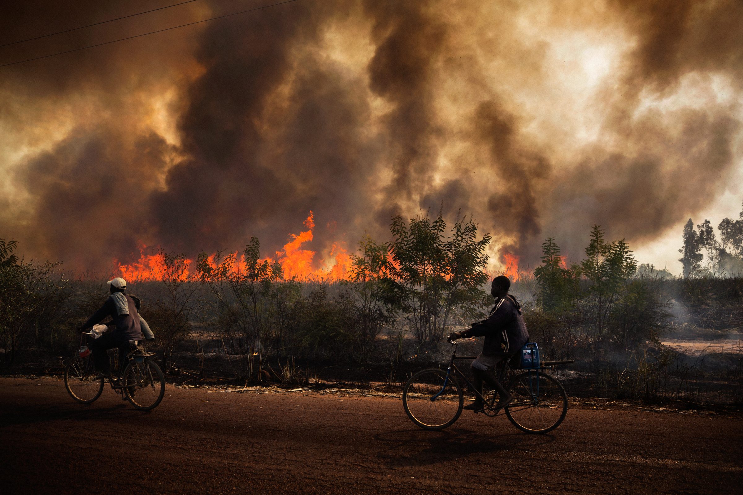 From the book Resilient — 2009 — 2018 — photograph by Marco Gualazzini — image 12 of 16