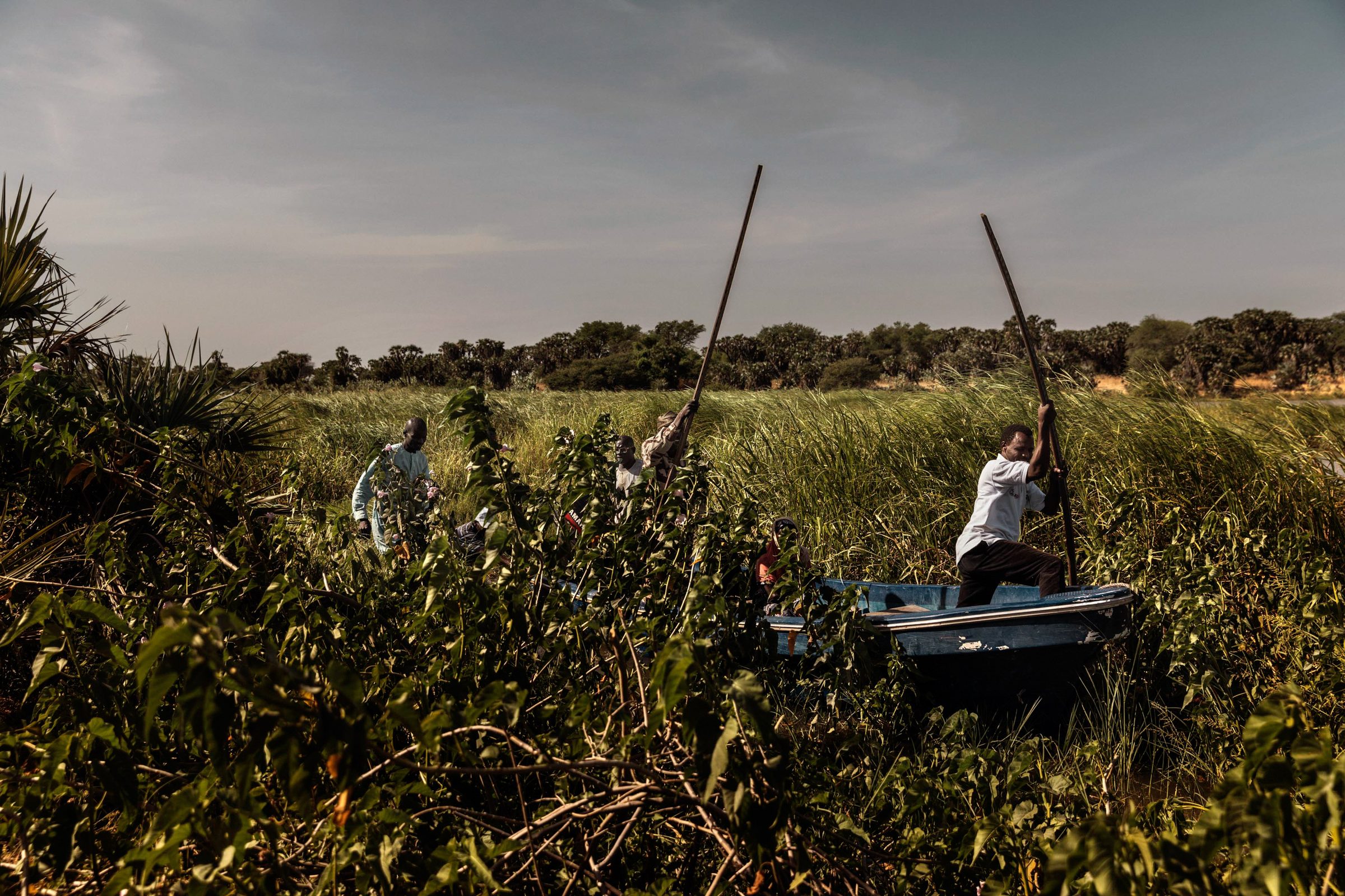 The world's most complex humanitarian disaster — Chad — 2024 — photograph by Marco Gualazzini — image 13 of 20