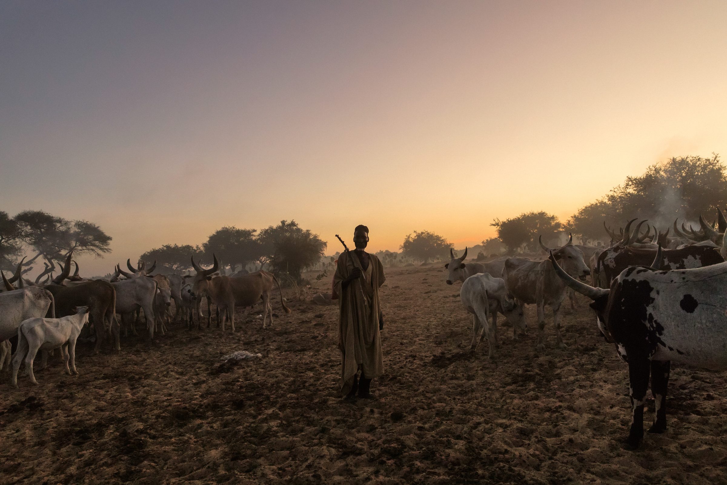 The world's most complex humanitarian disaster — Chad — 2024 — photograph by Marco Gualazzini — image 15 of 20