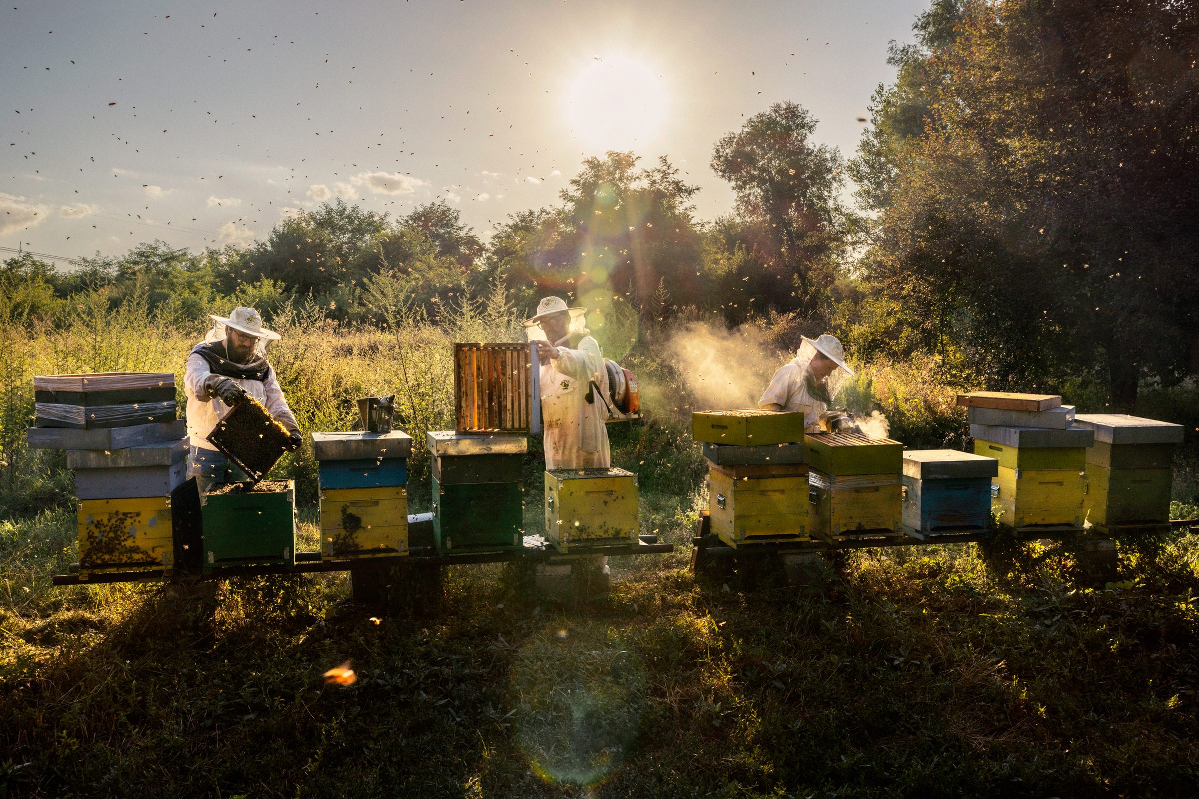 Il torrente Parma — Italy — 2024 — photograph by Marco Gualazzini — image 13 of 24